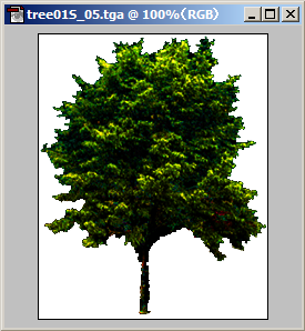 060507_01.PNG
