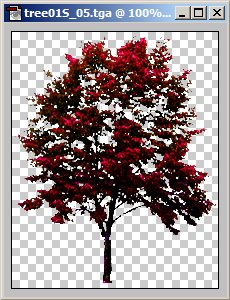 060507_04.PNG